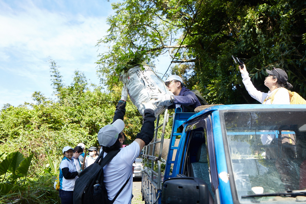 友達串聯志工組成水環境巡守隊，針對霄裡溪沿岸3公里的小花蔓澤蘭，定期進行移除與防治工作